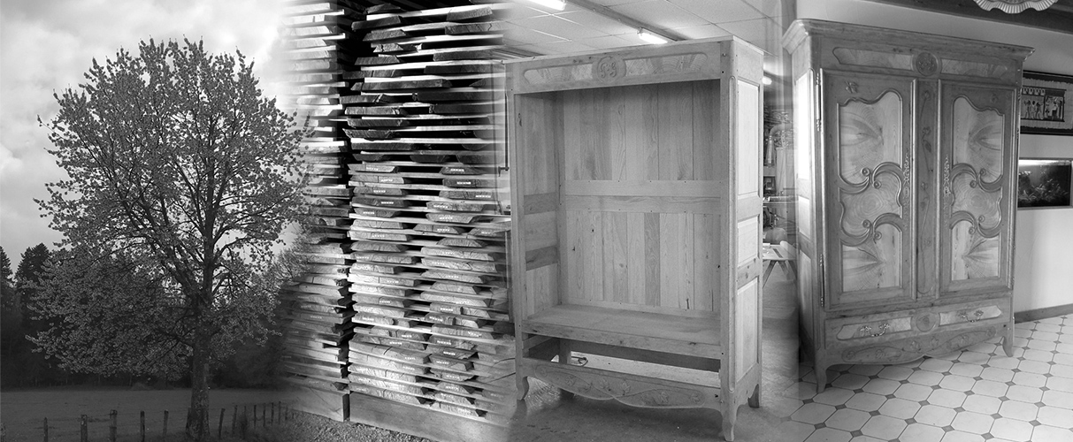 Arbres, bois stockés et meuble ancien réunis dans un panorama